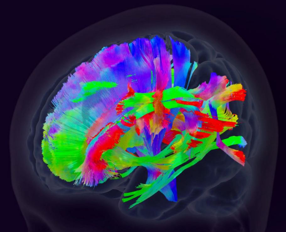 醫學影像辨識案例圖片